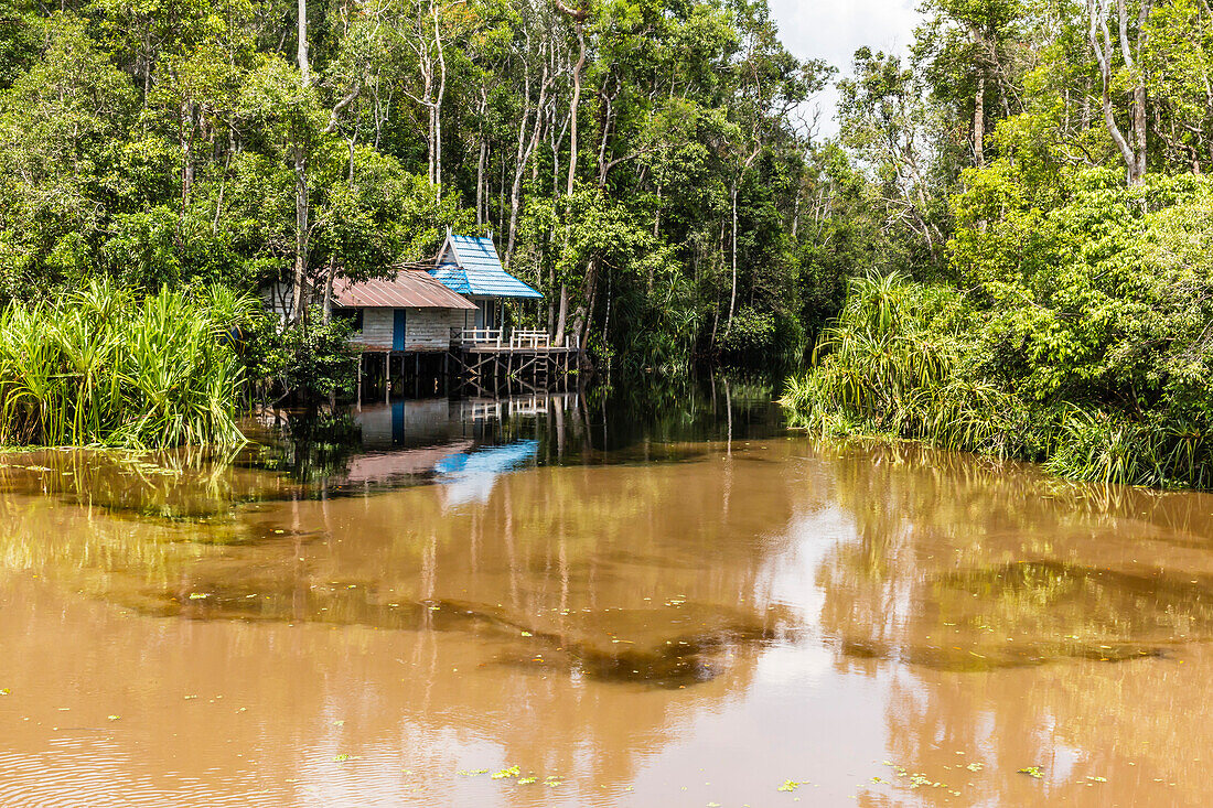 Ranger shack on the Sekonyer River, Tanjung Puting National Park, Kalimantan, Borneo, Indonesia, Southeast Asia, Asia