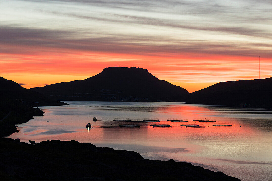 Codfish tanks in the ocean at sunrise, Eidi, Nordskali fjord, Eysturoy Island, Faroe Islands, Denmark, Europe