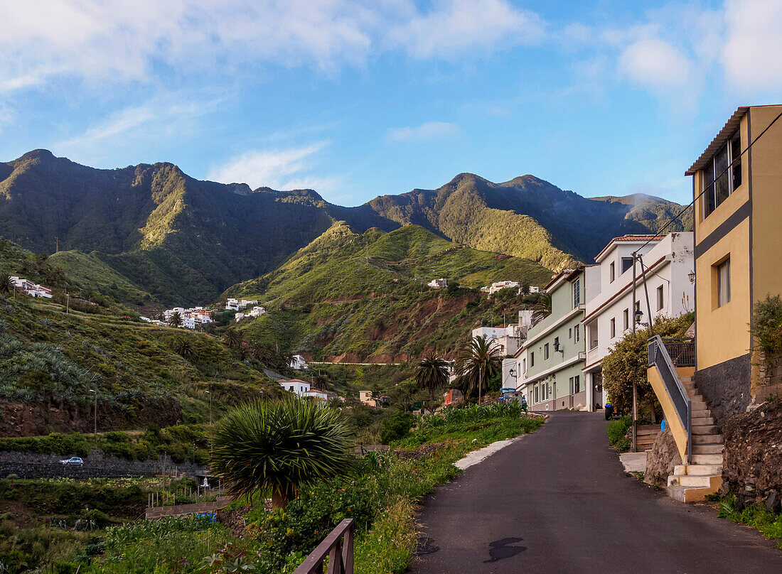 Taganana, Anaga, Tenerife Island, Canary Islands, Spain, Europe