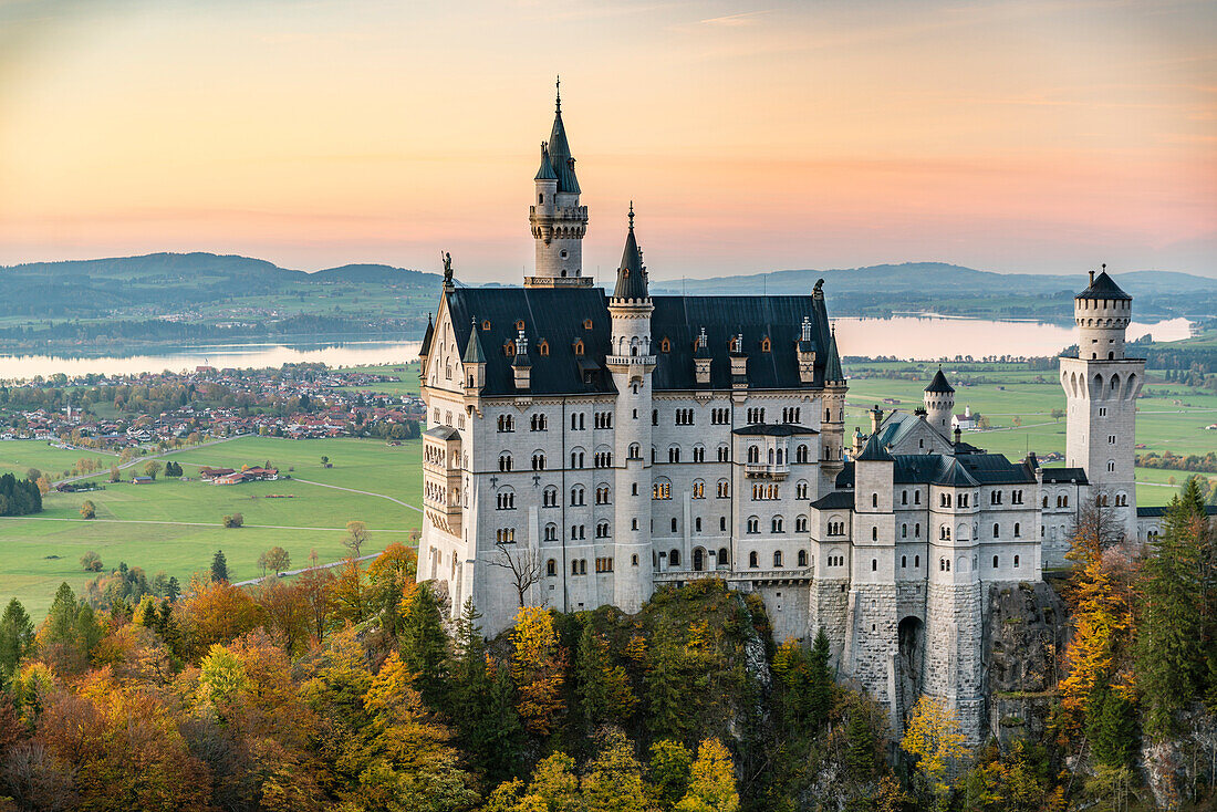 Neuschwanstein Castle surrounded by coloured fir trees at sunset, Schwangau, Schwaben, Bavaria, Germany, Europe