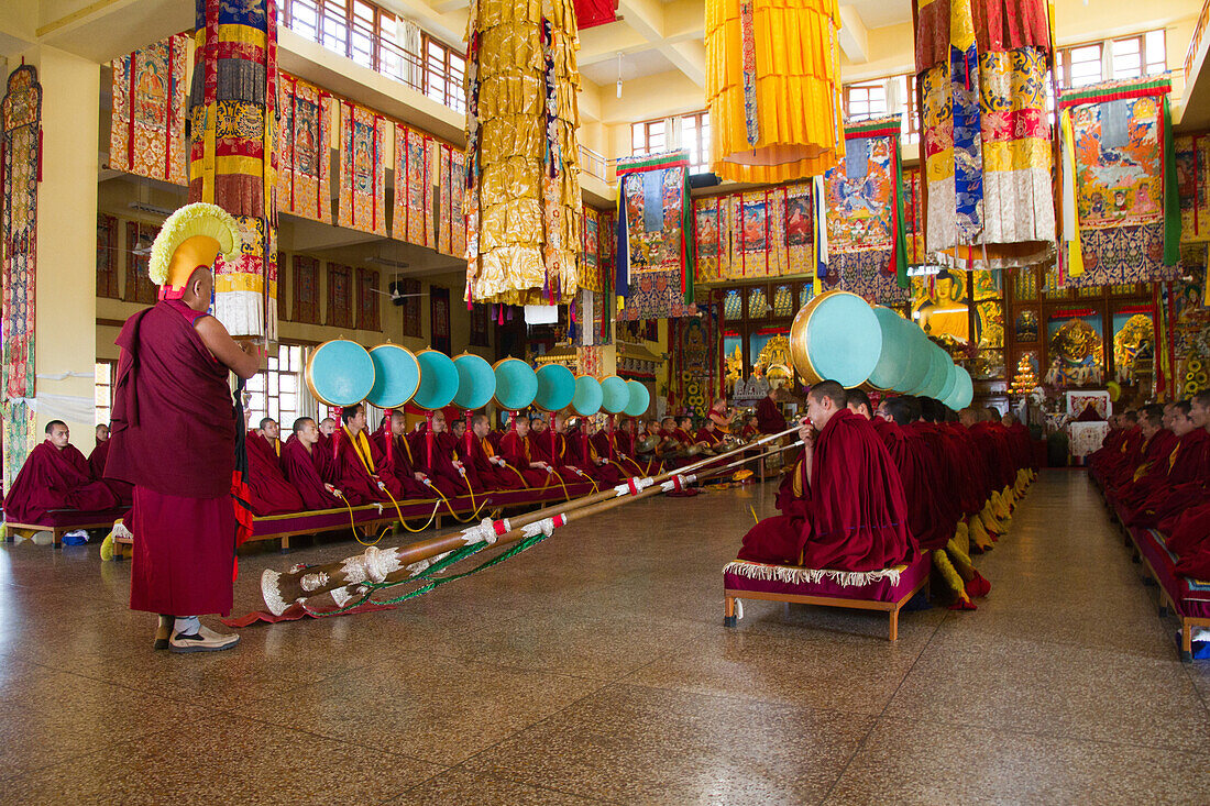 Buddhist monks of the yellow hat tradition, Gyuto Tantric Monastery, Dharamsala, Himachal Pradesh, India, Asia