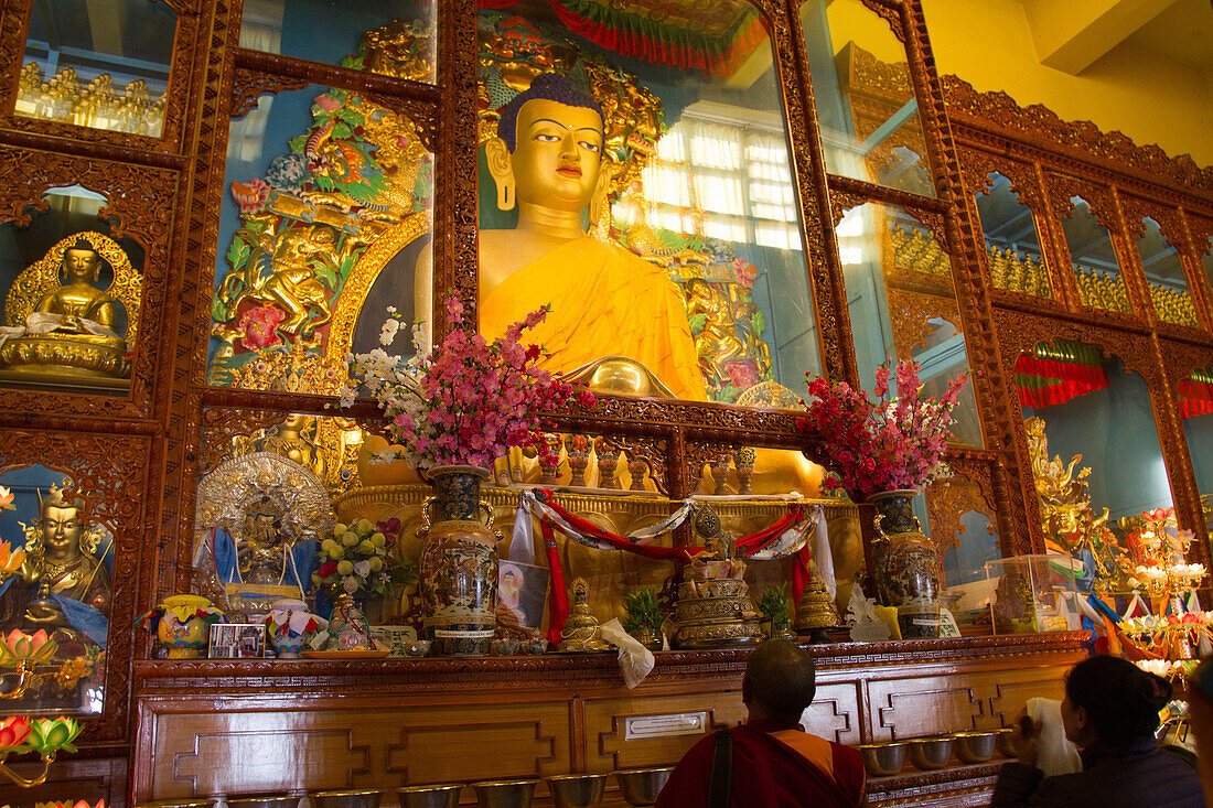 Buddha of the Karmapa temple, the Gyuto Tantric Monastery, Dharamsala, Himachal Pradesh, India, Asia