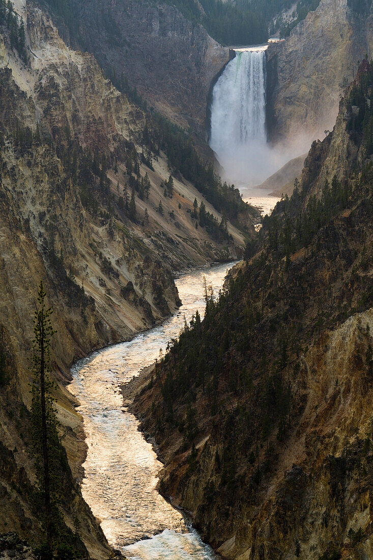 Yellowstone River and Falls, Yellowstone National Park, UNESCO World Heritage Site, Wyoming, United States of America, North America