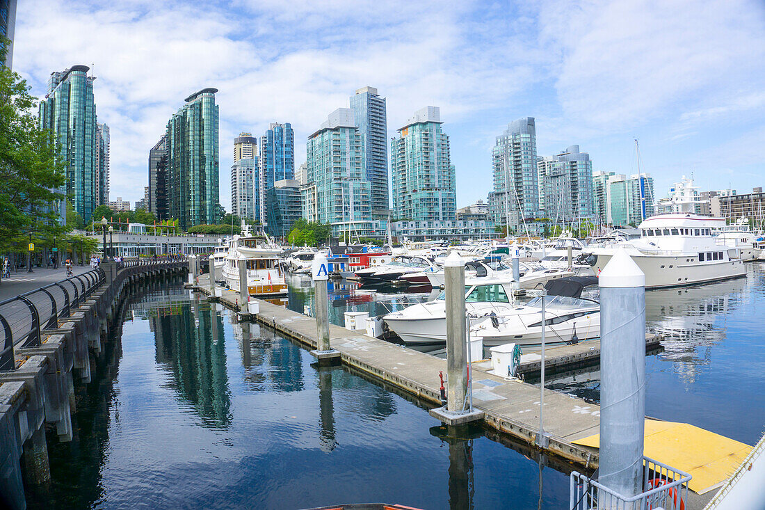 Vancouver Marina and city in the background, Vancouver, British Columbia, Canada, North America