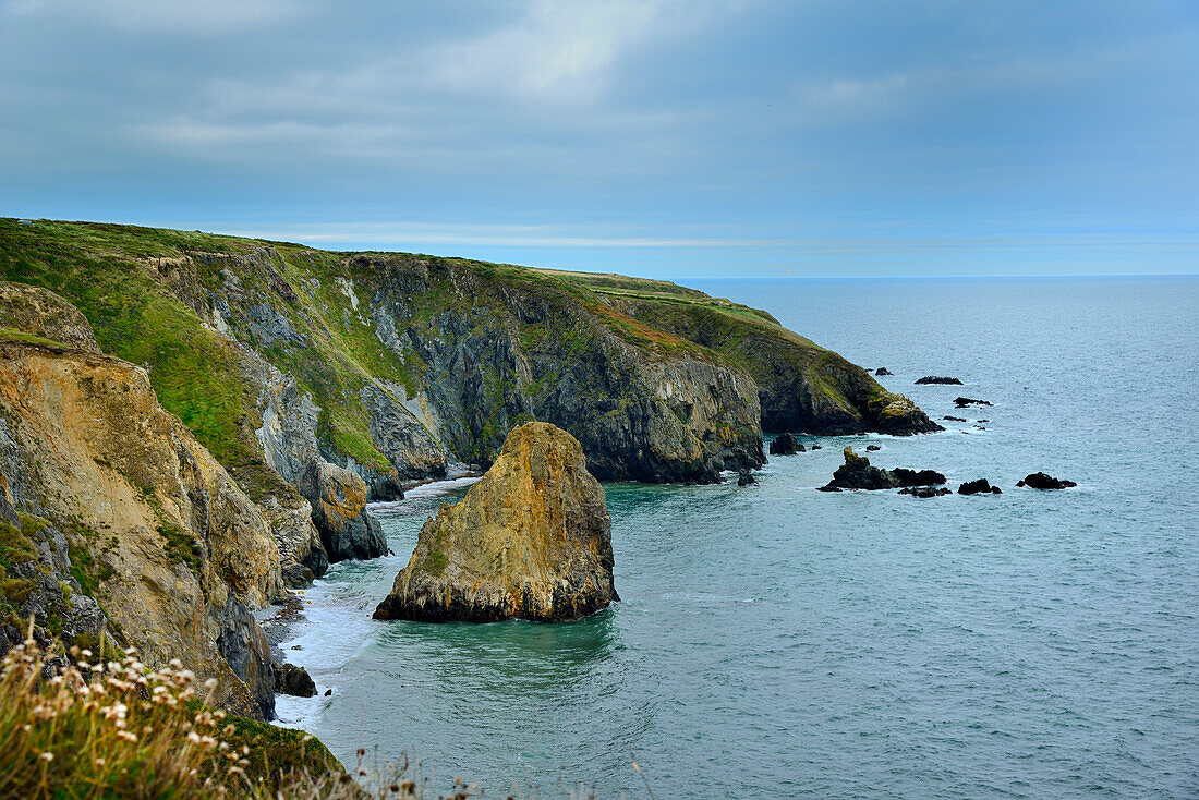 Coastal Cliffs, Copper Coast Drive, County Waterford, Munster, Republic of Ireland, Europe