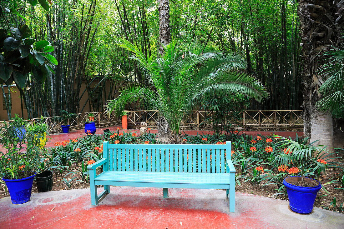 Jardin Majorelle (Majorelle Gardens), restored by fashion designer Yves Saint Laurent, Marrakesh (Marrakech), Morocco, North Africa, Africa