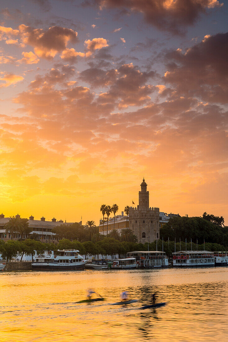Torre del Oro (Gold Tower) at sunrise, Seville, Andalusia, Spain, Europe