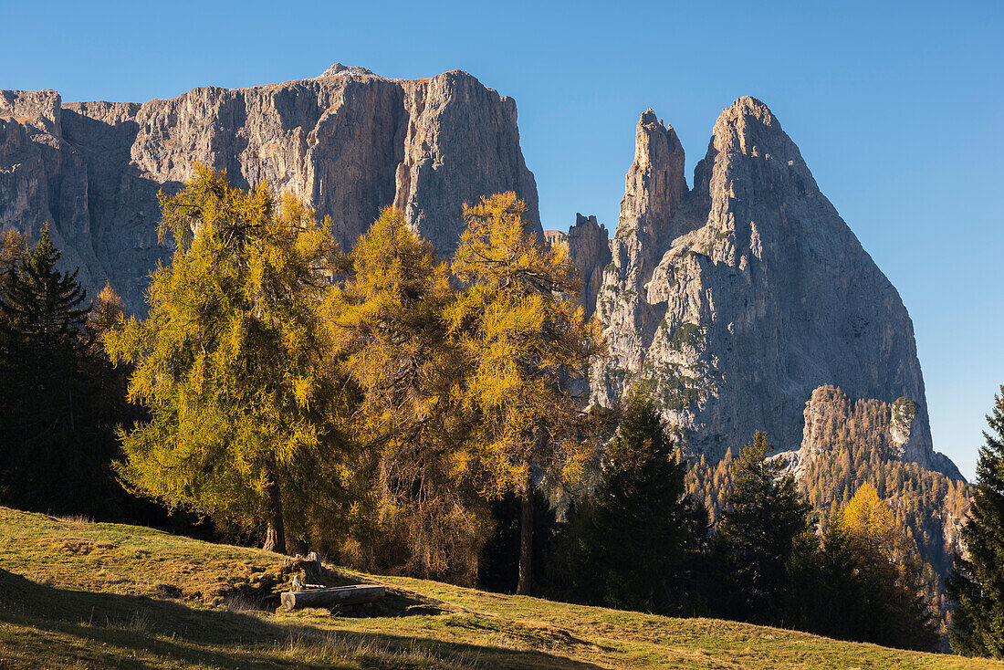 Sciliar in autumn, Alpe di Siusi, Trentino, Italy, Europe