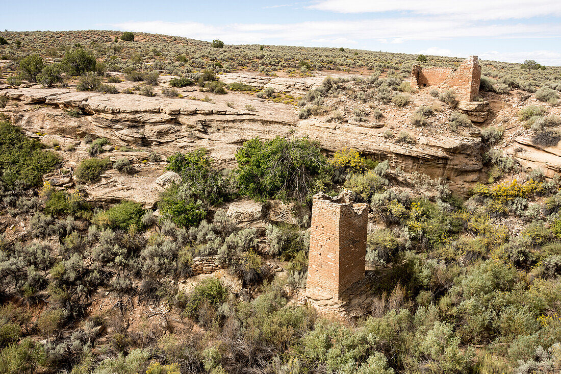 Square Tower and Hovenweep House in canyon of Hovenweep National Monument, Southeast Utah, United States of America, North America