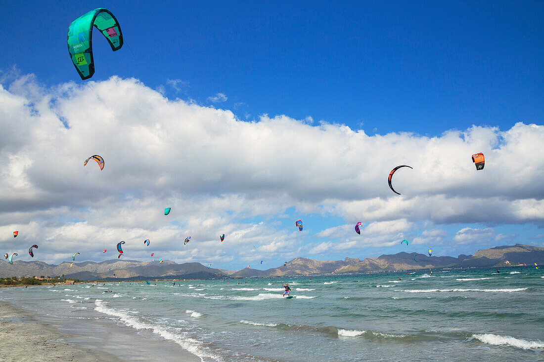 Kitesurfing, Alcudia beach. Mallorca (Majorca), Balearic Islands, Spain, Mediterranean, Europe