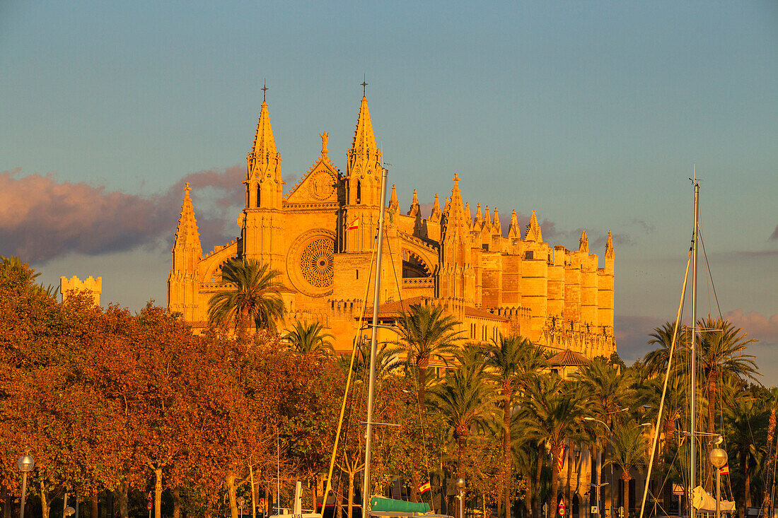 La Seu Cathedral, Palma de Mallorca, Mallorca (Majorca), Balearic Islands, Spain, Europe