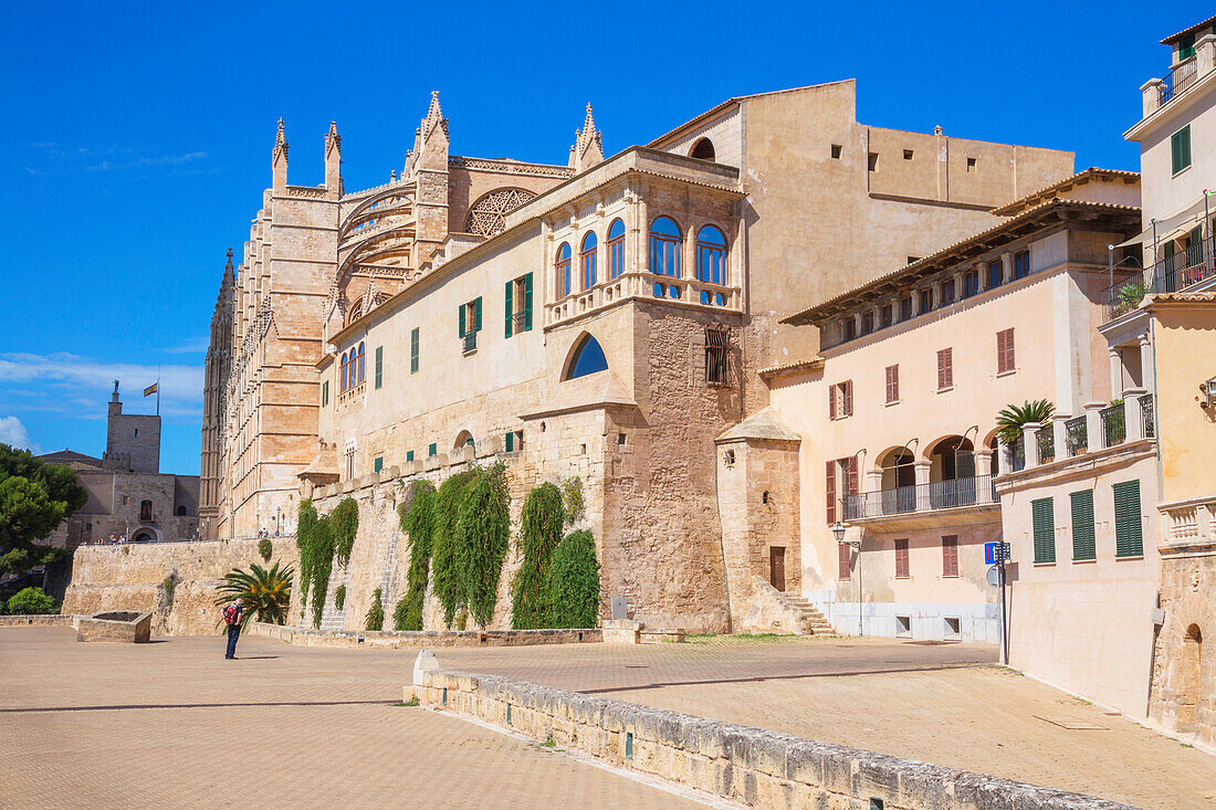 La Seu Cathedral, Palma de Mallorca, Mallorca (Majorca), Balearic Islands, Spain, Europe