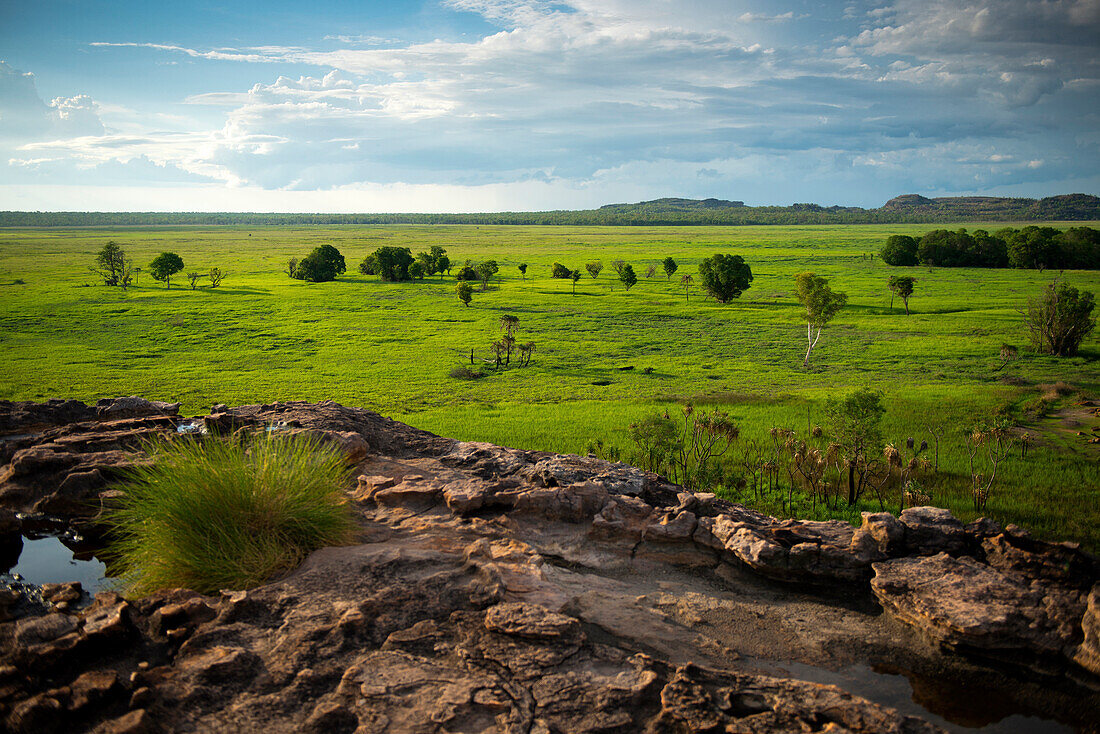 Blick von Ubirr über die Schwemmebene des East Aligator Rivers, Kakadu National Park, Northern Territory, Australien