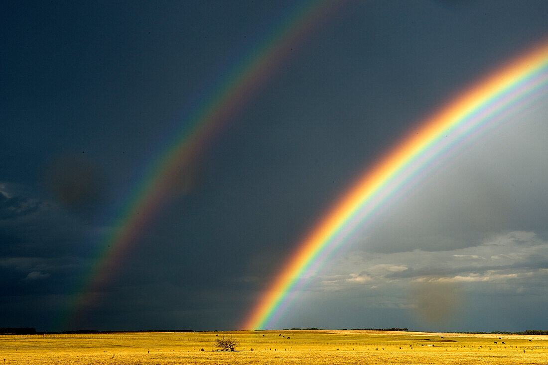 Doppelter Regenbogen nach einem Gewitter, Penhurst, Victoria, Australien
