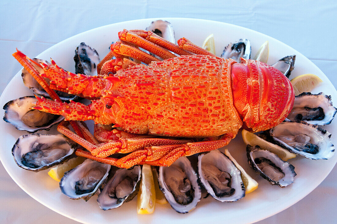 Meersfrüchte mit Langusten und Austern, Eyre Peninsula, Südaustralien, Australien