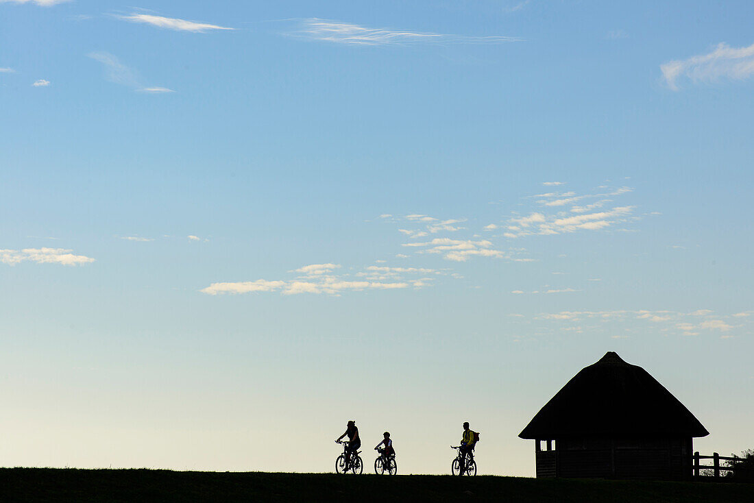 Radfahrer auf dem Deich, Zingst, Ostseeküste, Mecklenburg-Vorpommern Deutschland