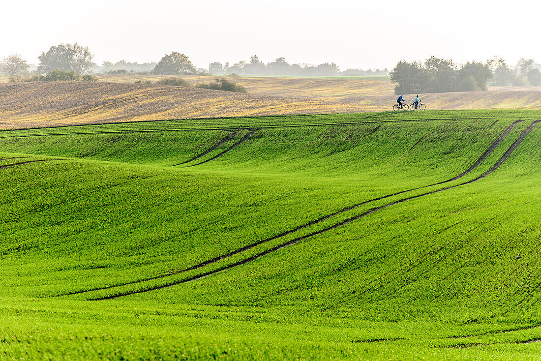 Wanderweg E9 ,Rundwanderung: Küste von Boltenhagen nach Redewisch/um Steilküste herum nach Steinbeck/ im Klützer Winkel durch den Leonorenwald/Stellshagen/Bothmer/Boltenhagen, Ostseeküste, Mecklenburg-Vorpommern Deutschland