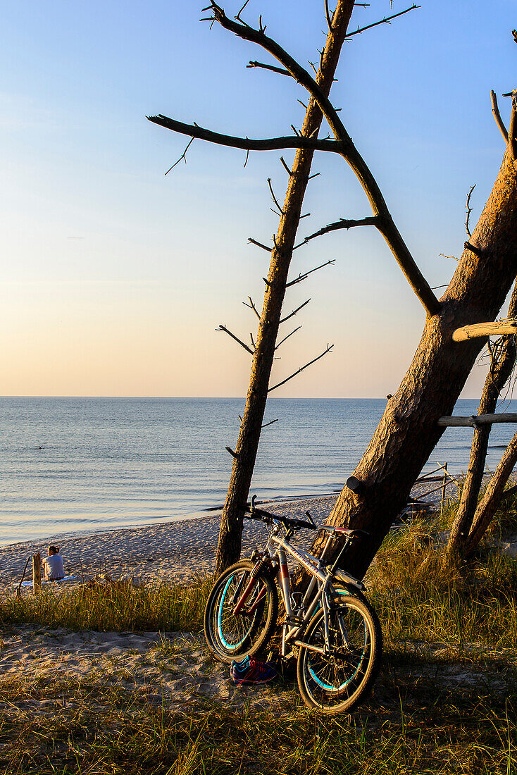 Fahrräder am Darsser Weststrand, Ostseeküste, Mecklenburg-Vorpommern Deutschland