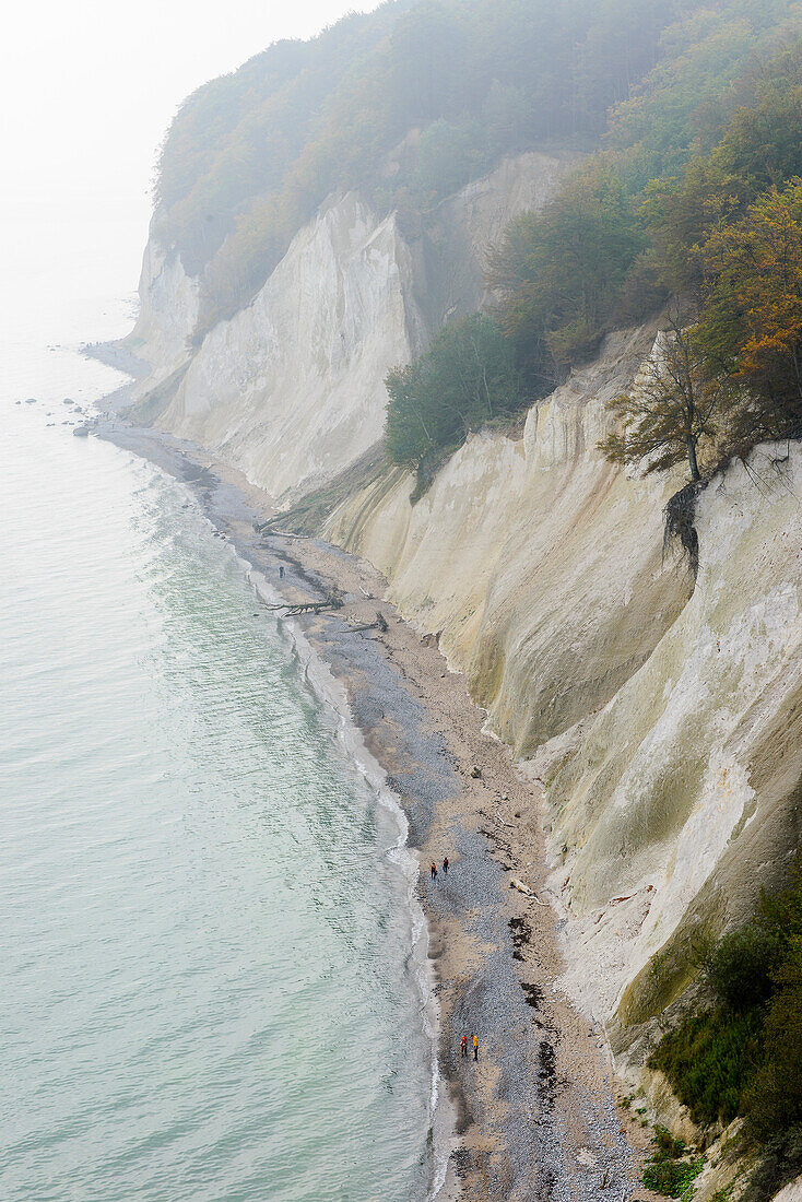 Chalk cliffs, Ruegen, Baltic Sea coast, Mecklenburg-Vorpommern, Germany