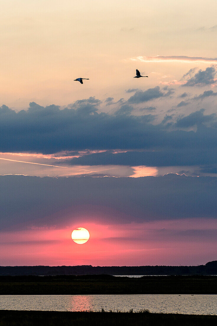 Sonnenuntergang am Leuchtturm Hellen und Landschaft, Hiddensee, Rügen, Ostseeküste, Mecklenburg-Vorpommern, Deutschland