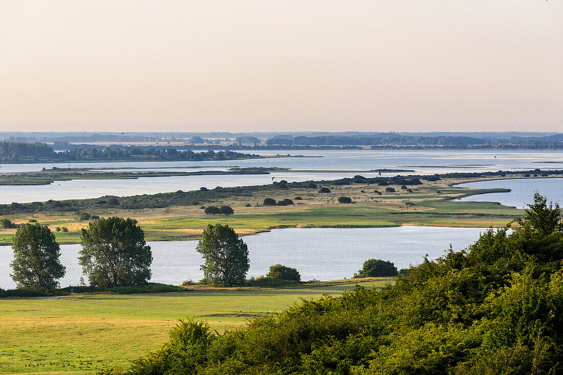 View on peninsula Bessin, Hiddensee, Ruegen, Baltic Sea coast, Mecklenburg-Vorpommern, Germany