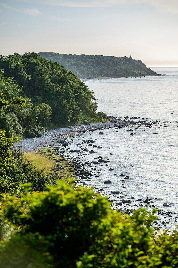 Steep coast and Gellort, Cape Arkona, Ruegen, Ostseekueste, Mecklenburg-Vorpommern, Germany