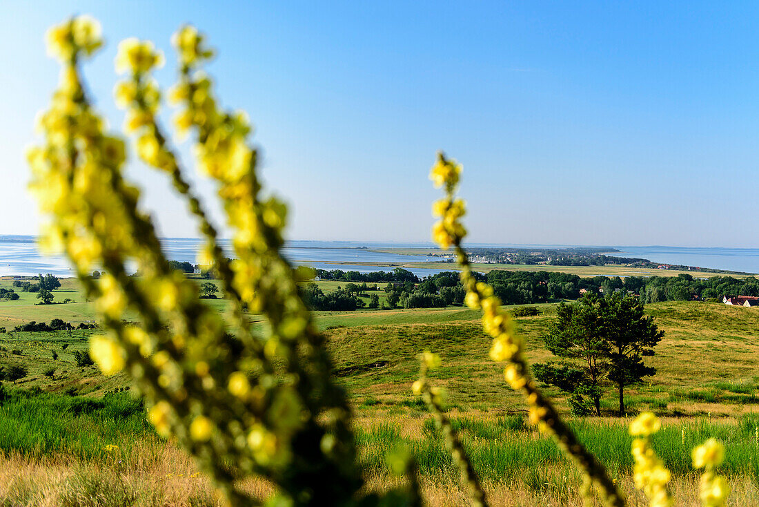 Blick auf Kloster, Hiddensee, Rügen, Ostseeküste, Mecklenburg-Vorpommern, Deutschland