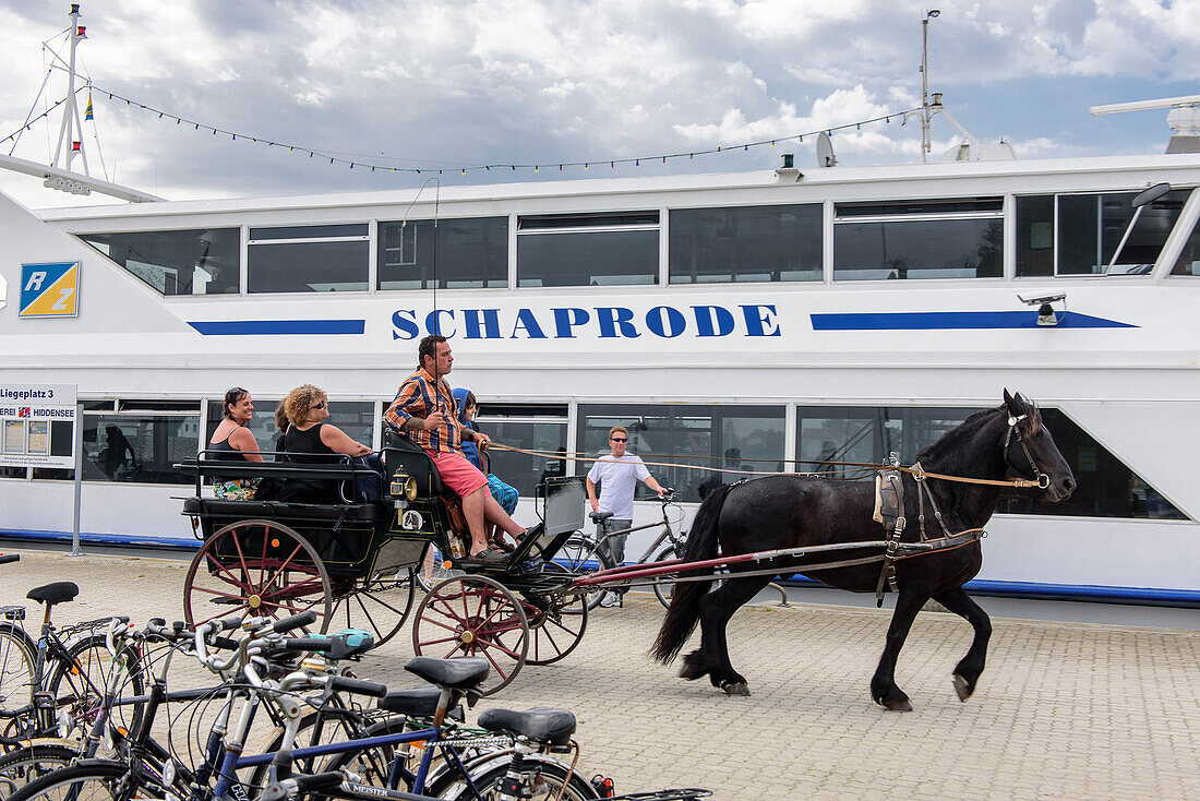 Pferdekutschen warten auf Gäste am Hafen von Vitte, Hiddensee, Ruegen, Ostseekueste, Mecklenburg-Vorpommern, Deutschland