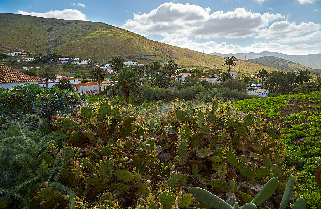 In der ehemaligen Inselhauptstadt Betancuria, Fuerteventura, Kanaren, Kanarische Inseln, Islas Canarias, Atlantik, Spanien, Europa