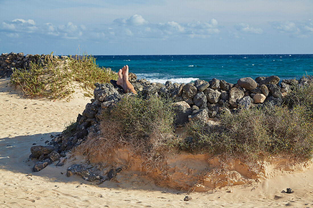 Strand im Parque Natural de las Dunas de Corralejo, Fuerteventura, El Jable, Kanaren, Kanarische Inseln, Islas Canarias, Atlantik, Spanien, Europa