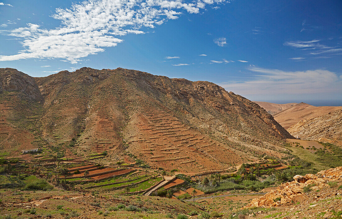 Blick vom Mirador Las Penitas in Tal mit Palmen und Finca, Fuerteventura, Kanaren, Kanarische Inseln, Islas Canarias, Atlantik, Spanien, Europa