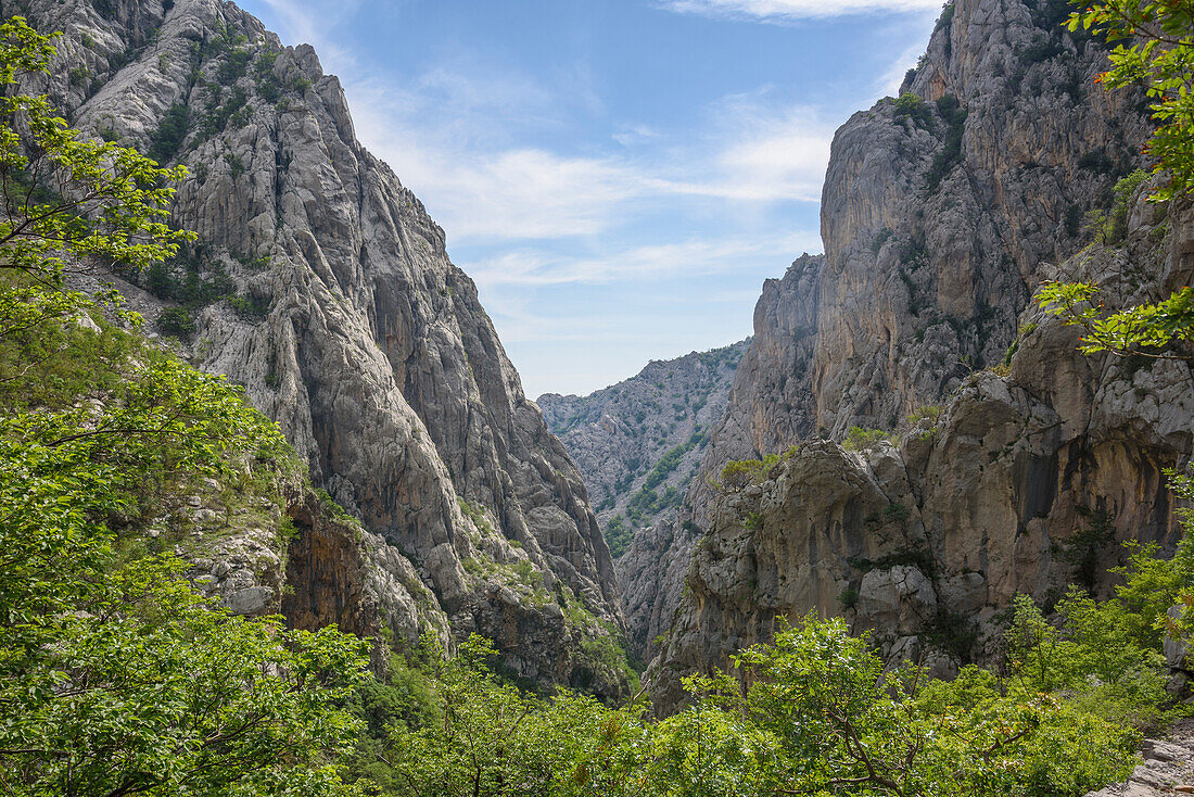 Limestone gorge, Paklenica National Park, Croatia, Europe