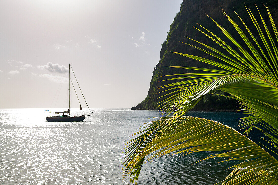 Yacht moored close to the base of Petit Piton, UNESCO World Heritage Site, near Sugar Beach with palm leaves in the foreground, St. Lucia, Windward Islands, West Indies Caribbean, Central America