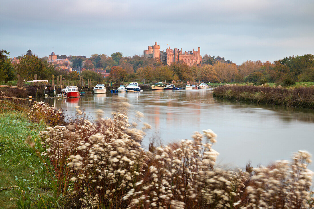 Arundel Castle on the River Arun at sunrise in autumn, Arundel, West Sussex, England, United Kingdom, Europe