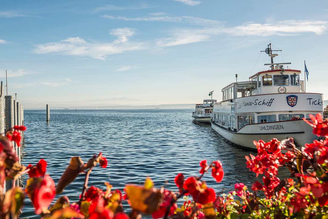 Excursion boat on Lake Constance at the pier, Unteruhldingen, Uhldingen-Mühlhofen, Baden-Württemberg, Germany