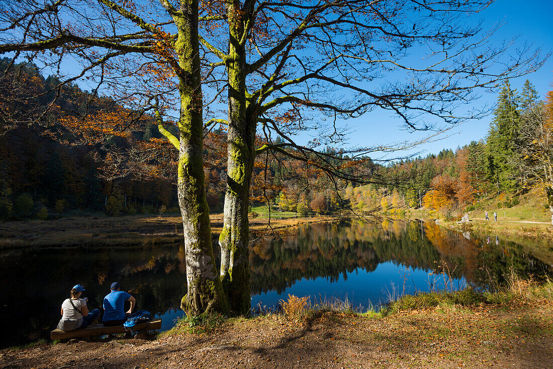 Lake with autumnal forest, water reflection, Nonnenmattweiher, Neuenweg, Black Forest, Baden-Württemberg, Germany