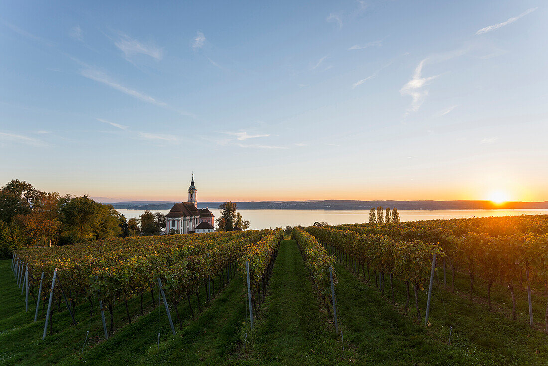 Wallfahrtskirche Birnau mit Weinbergen im Herbst bei Sonnenuntergang, Uhldingen-Mühlhofen, Bodensee, Baden-Württemberg, Deutschland