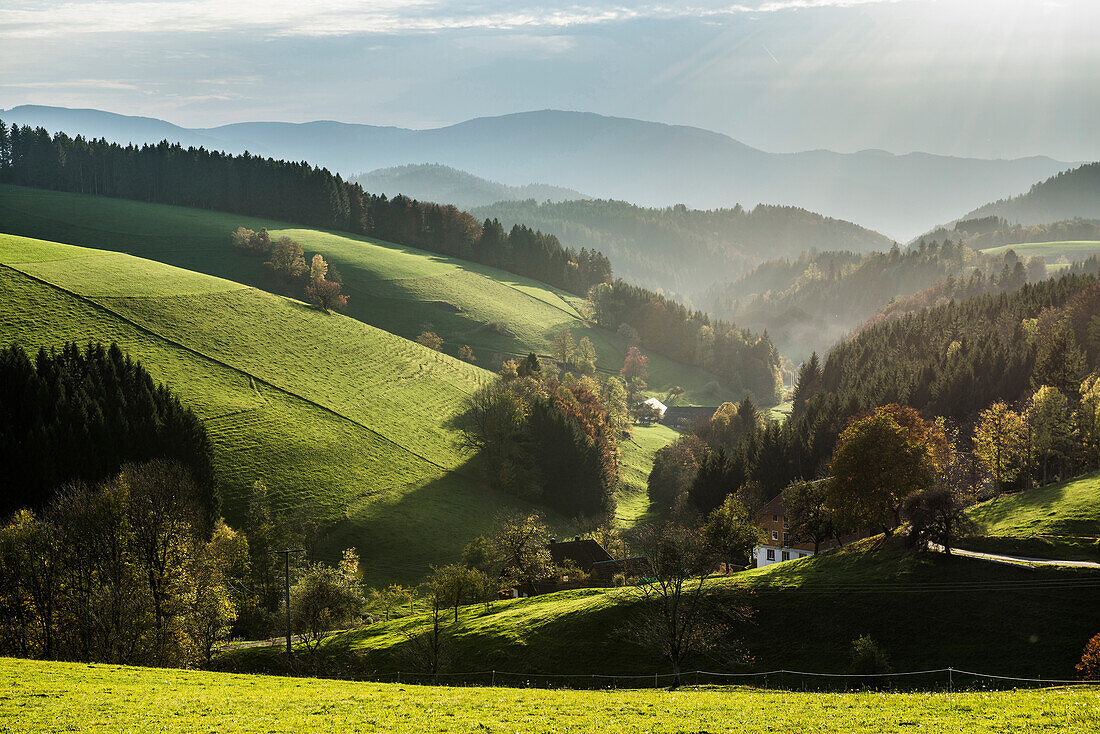 Ausblick auf hügelige Landschaft, Abendlicht, bei St Märgen, Schwarzwald, Baden-Württemberg, Deutschland