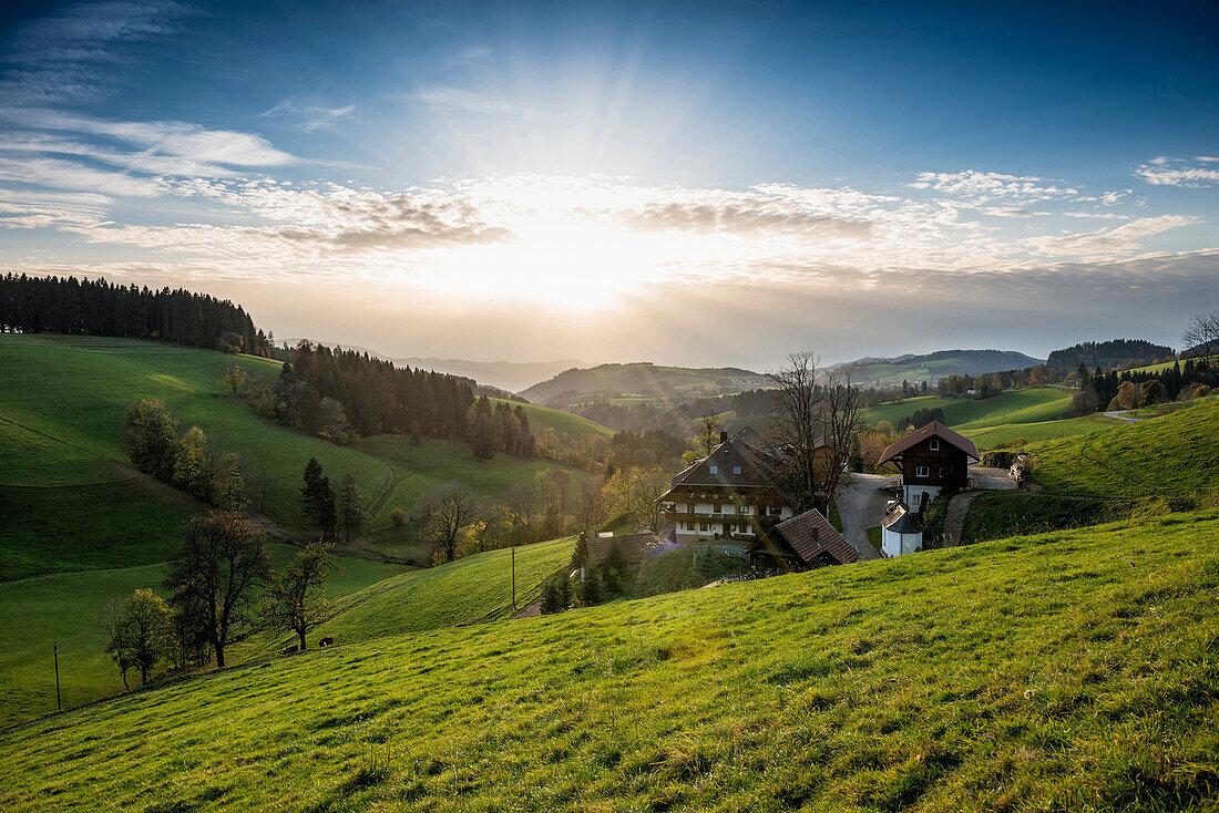 Ausblick auf hügelige Landschaft, Abendlicht, bei St Märgen, Schwarzwald, Baden-Württemberg, Deutschland