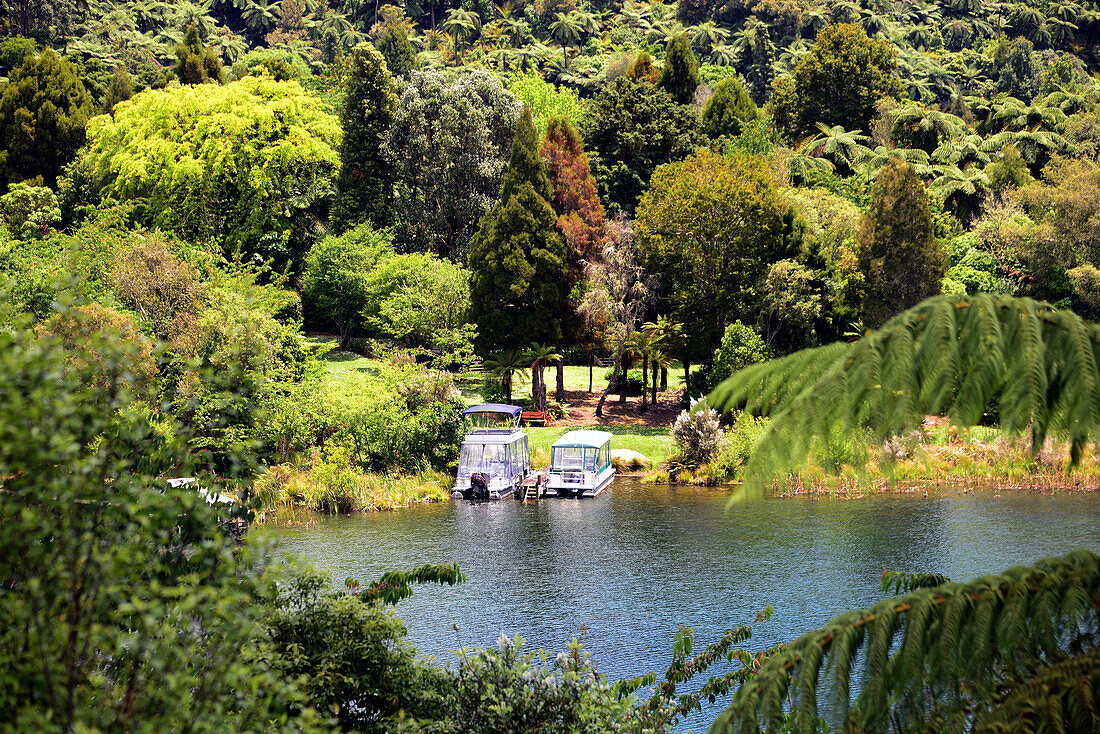 am Lake Tarawera bei Rotorua, Nordinsel, Neuseeland