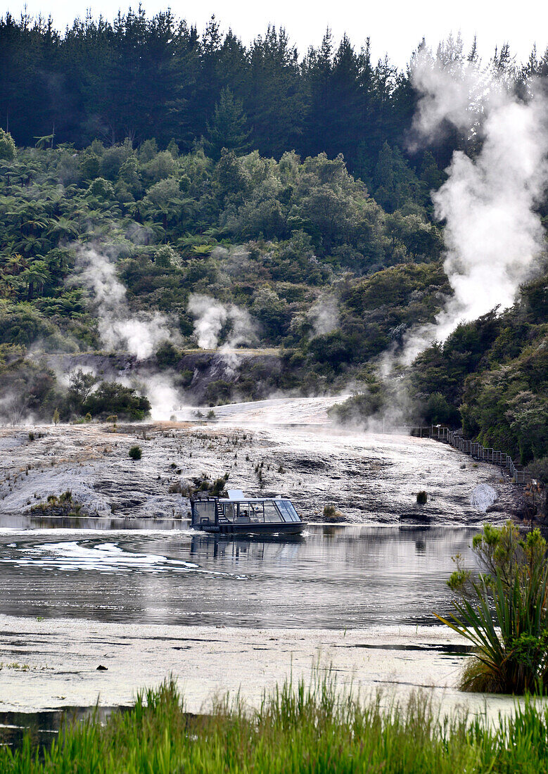 Thermalgebiet Orakei Korako, Nordinsel, Neuseeland