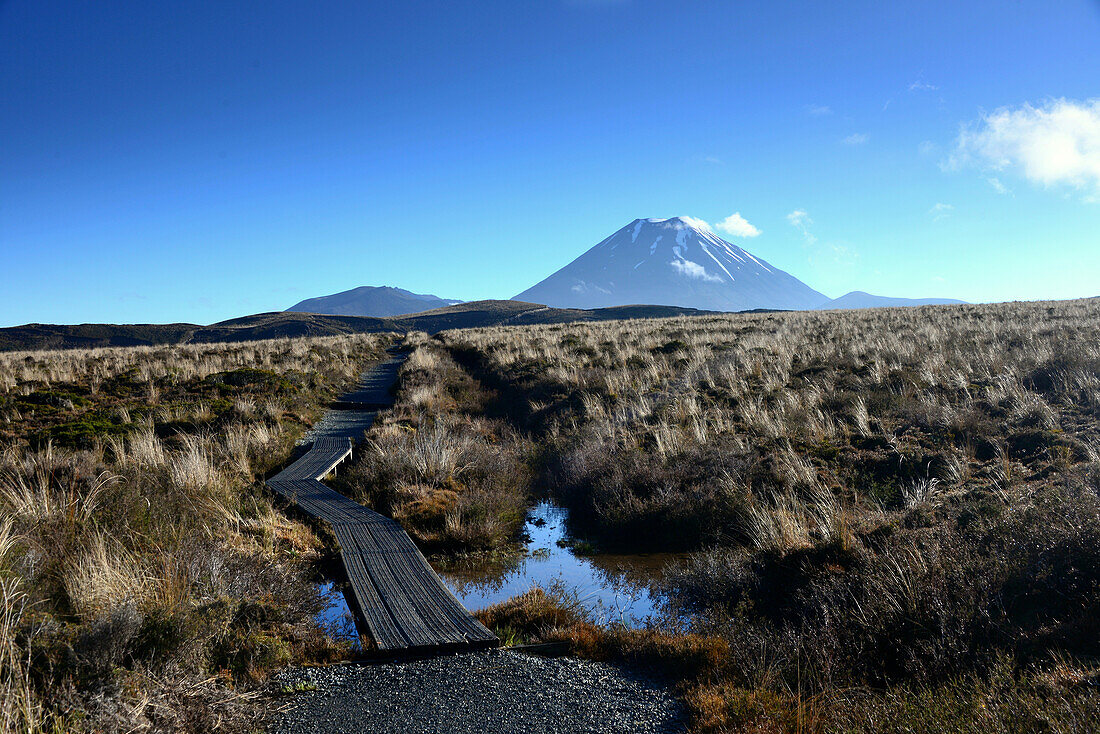 view to the Volcano Ngauruhoe, Tongariro National Park, North Island, New Zealand