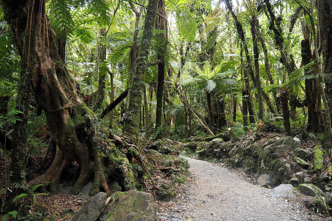 Coast Track bei Marahau, Sandy Bay, Abel Tasman National Park, Südinsel, Neuseeland