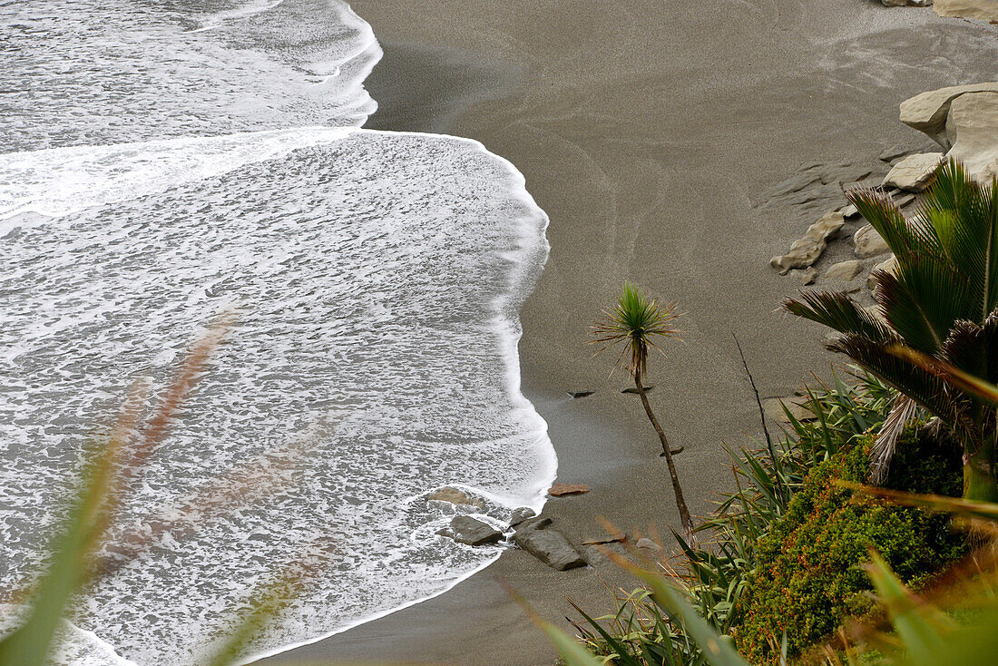 Westcoast near Punakaiki, Westcoast, South Island, New Zealand