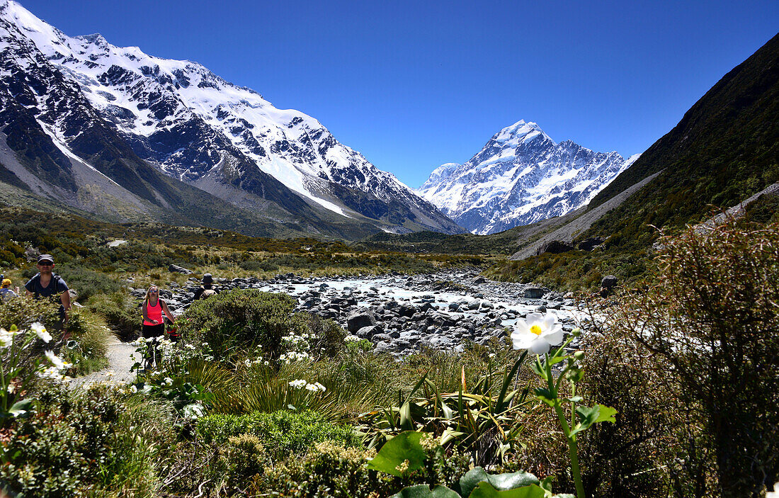 Hiken im Hooker Valley mit Mt. Cook, Mount Cook National Park, Südinsel, Neuseeland