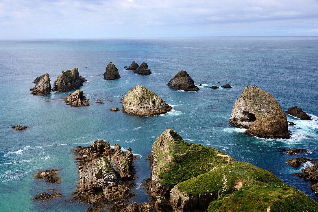 am Nugget Point, Catlins, Ostküste, Südinsel, Neuseeland