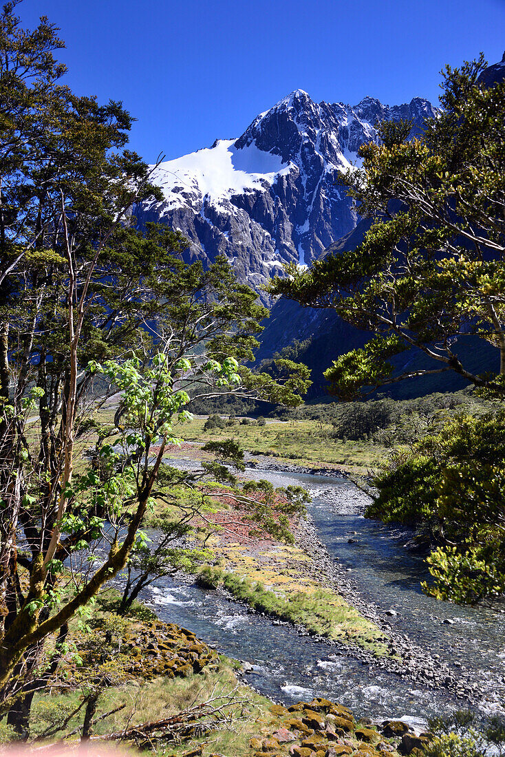 In Eglinton Valley, Fjordland National Park, South Island, New Zealand