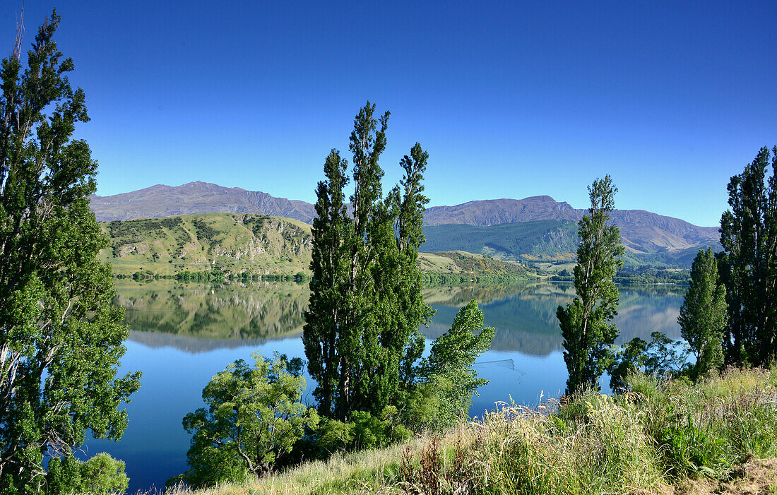 At Hayes lake near arrowtown, South Island, New Zealand