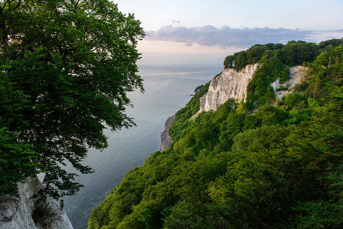 Chalk cliffs, Rügen, Baltic Sea coast, Mecklenburg-Vorpommern, Germany