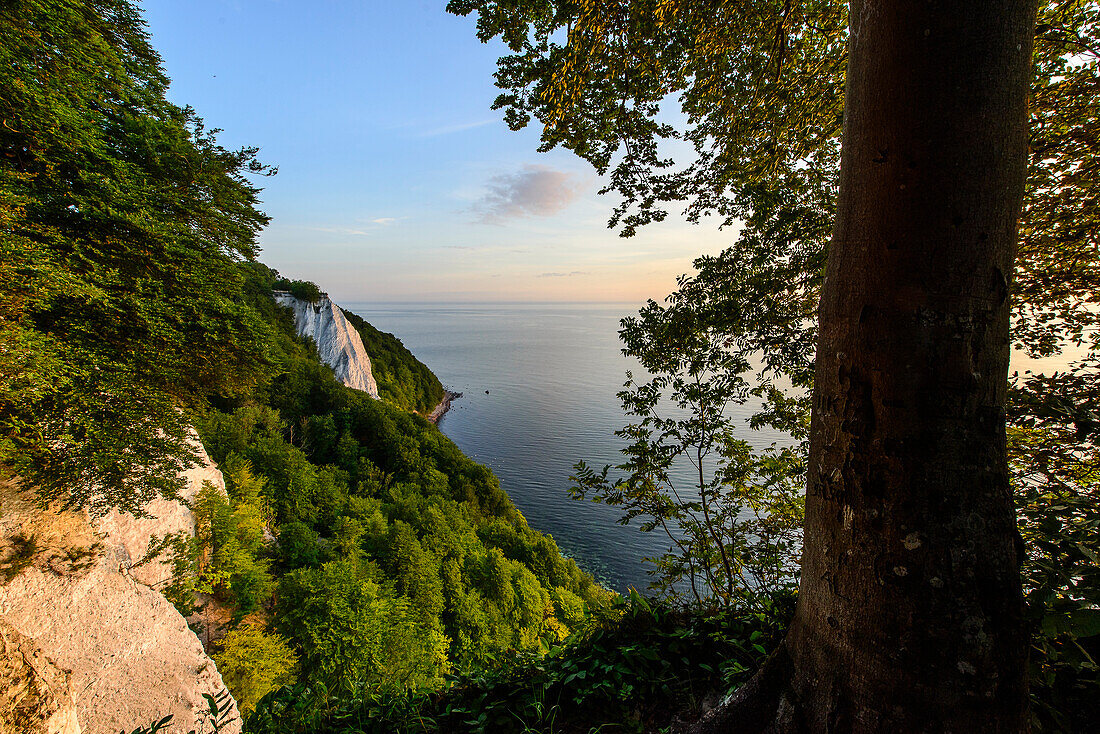 Chalk cliffs, Jasmund NP, Rügen, Ostseeküste, Mecklenburg-Western Pomerania, Germany